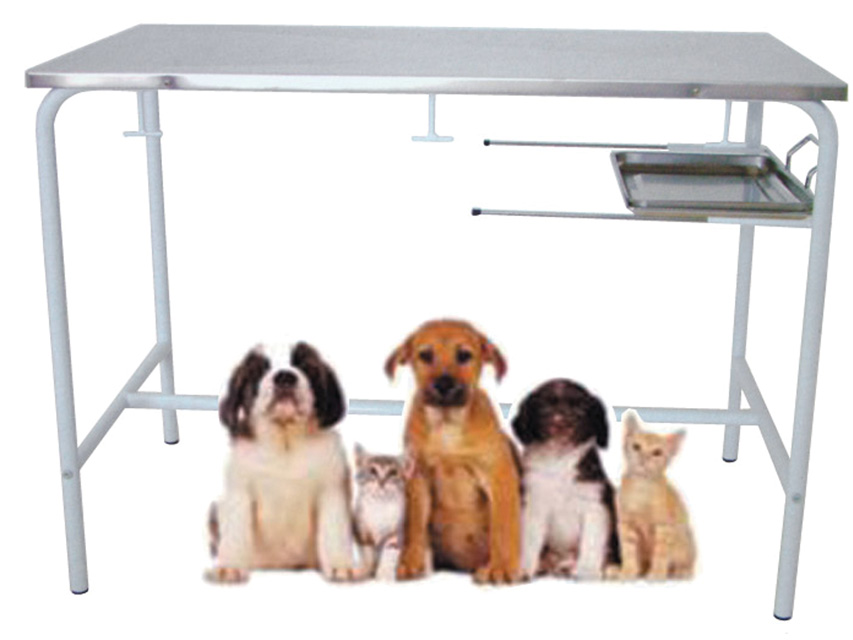 VETERINARY EXAMINATION TABLE