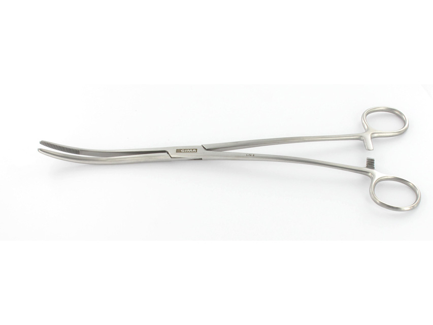 BOZEMAN FORCEPS