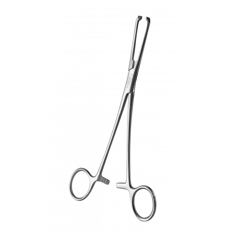 Pince Allis, 19 cm, Holtex