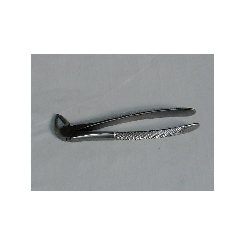 Davier Adulte n° 33, incisives inférieures, 15 cm