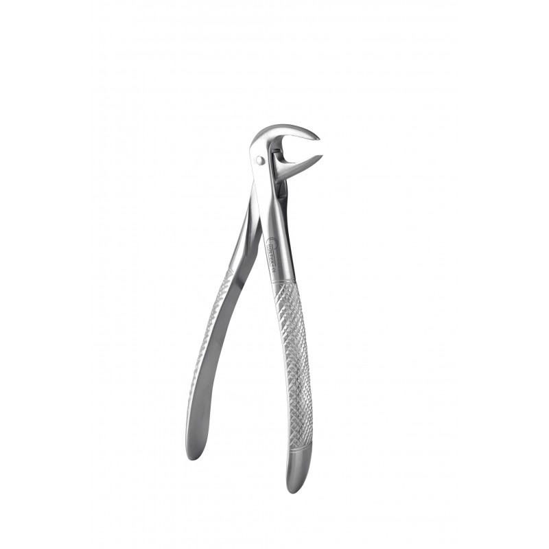 Davier Adulte n° 74, racines pour incisives inférieures, 15 cm