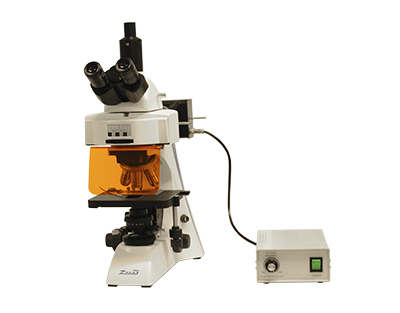 Microscope Epi-fluorescence LED