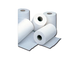 [25210] HAND TOWEL ROLLS - 2 plies - box of 12