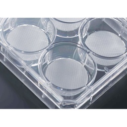 [TCP237-8X1NO] Cell Culture Scaffold, 6 well Plate